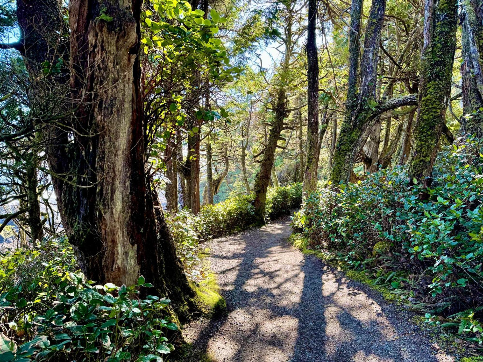 Black Rock Landing Ucluelet Bagian luar foto